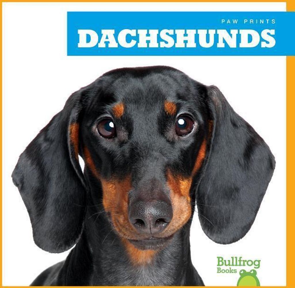 Dachshunds