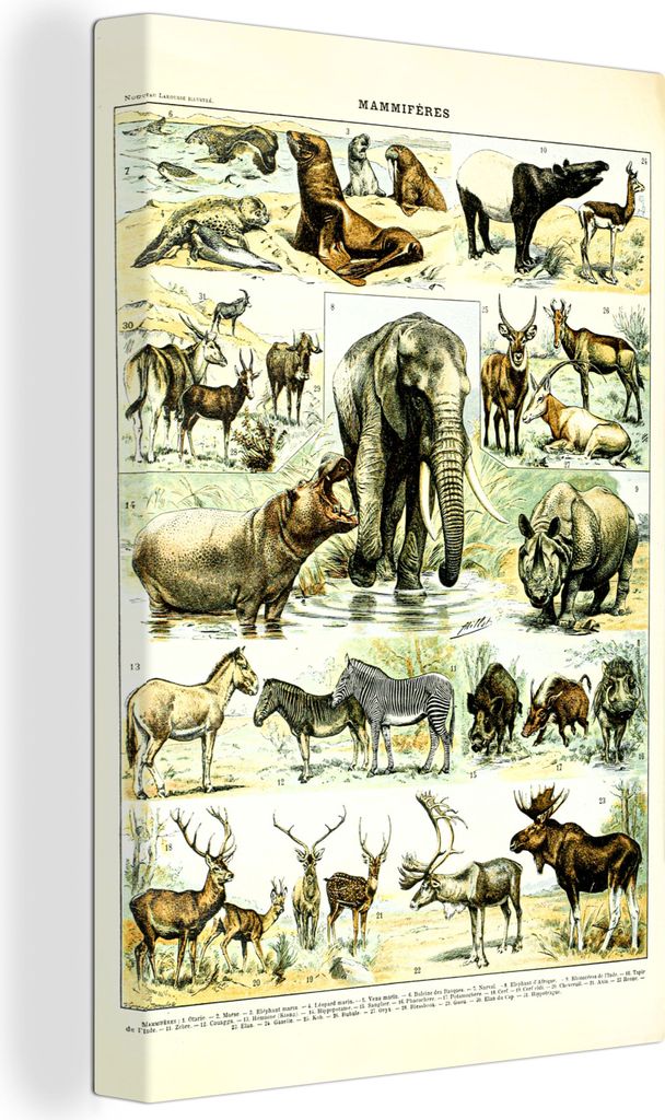 OneMillionCanvasses - Leinwandbilder - 90x140 cm, Tiere - Elefanten - Hirsche, Wandbilder Kunstdruck Wanddekoration - Foto auf Leinwand - Gemäld...