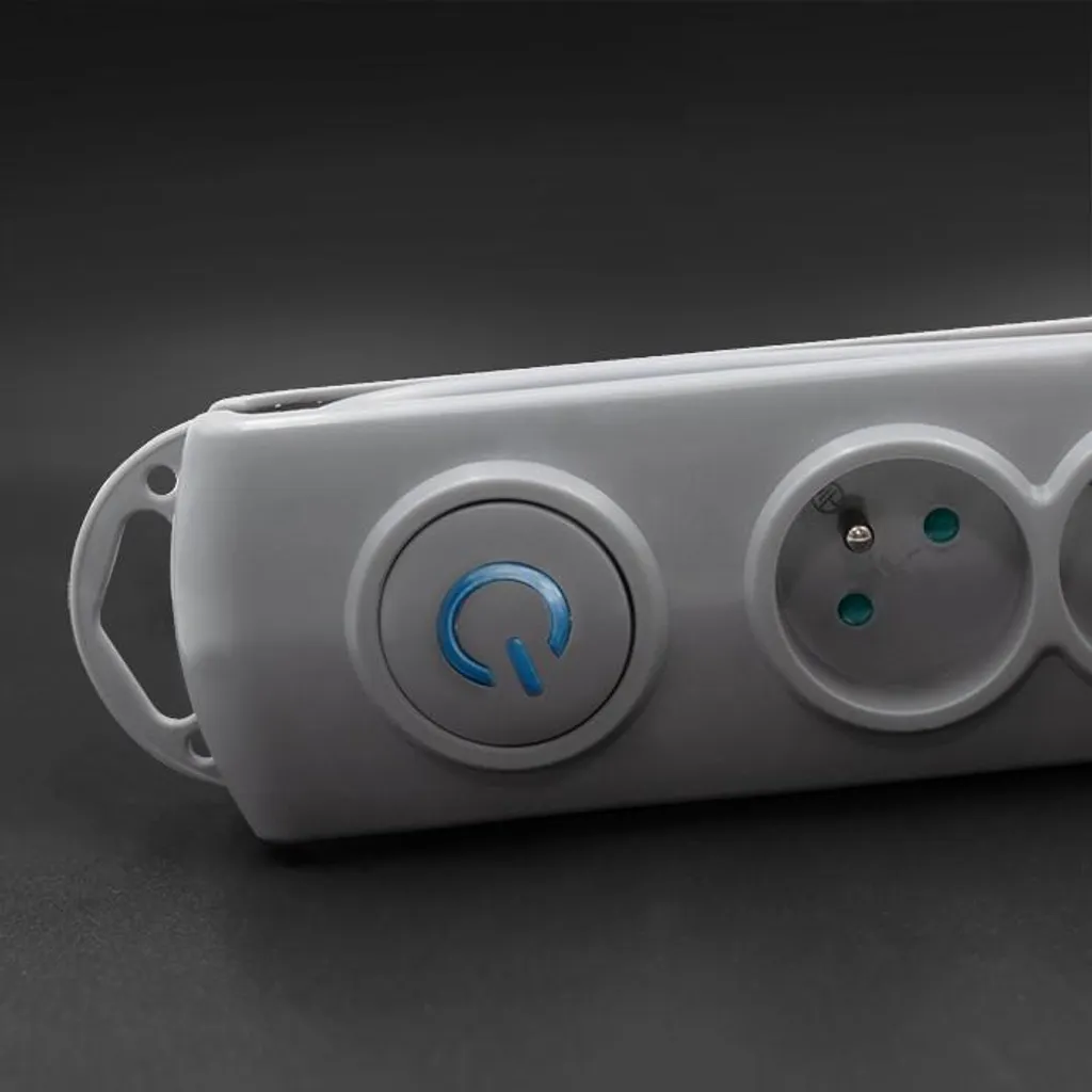 Multiprise Parasurtenseur 4 Prises Qoltec : Fini les Risques de Panne - 12