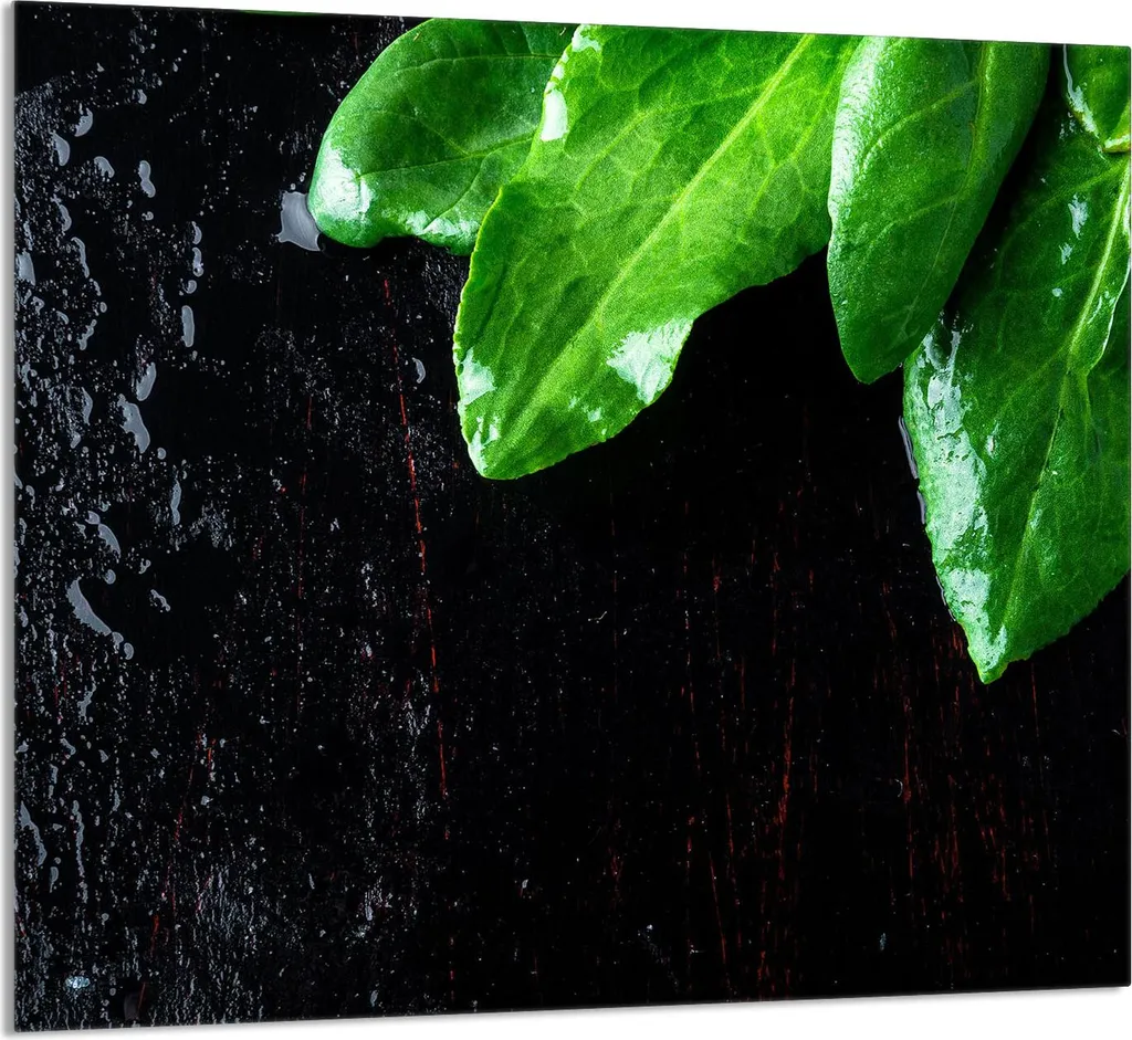GLASPLATTE FÜR KÜCHE 65x60 Basilico