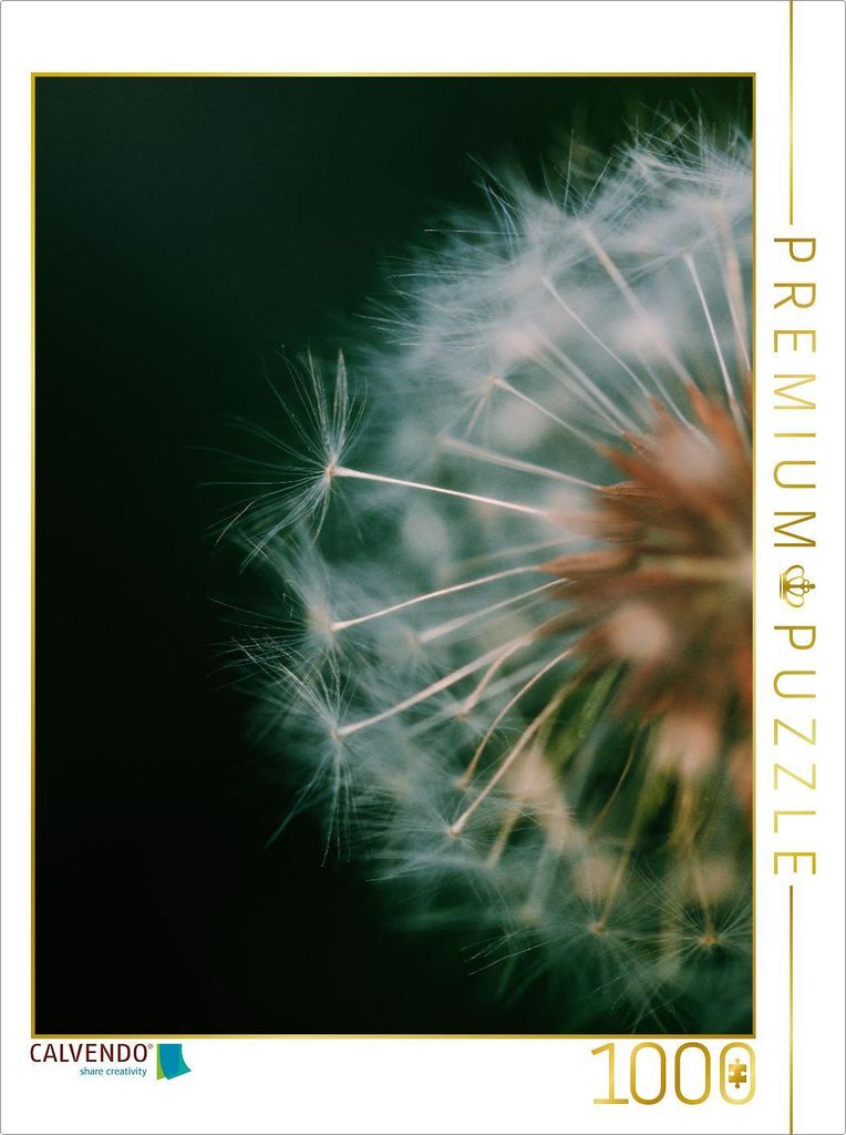 CALVENDO Puzzle Pusteblume | 1000 Teile Lege-Größe 64x48cm Foto-Puzzle für glückliche Stunden