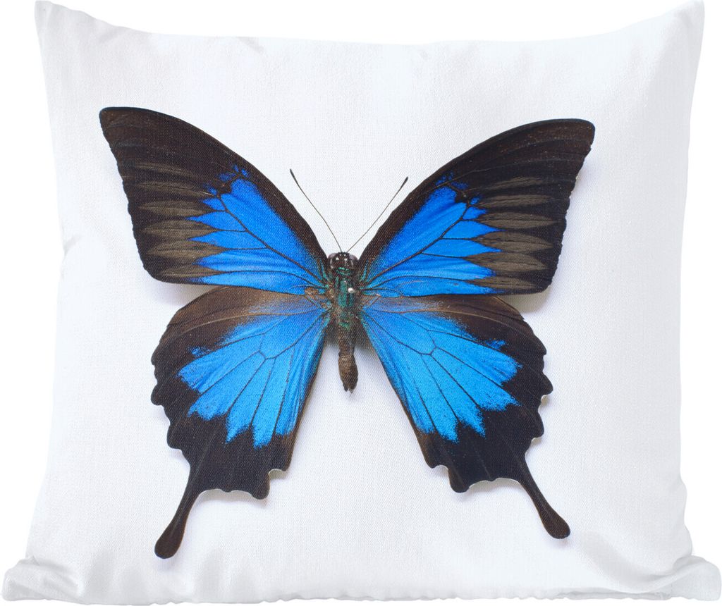 MuchoWow Zierkissen Sofakissen Wohnzimmer Dekokissen 40x40 cm Schmetterling - Insekten - Blau - Sofakissenbezüge - ohne füllung