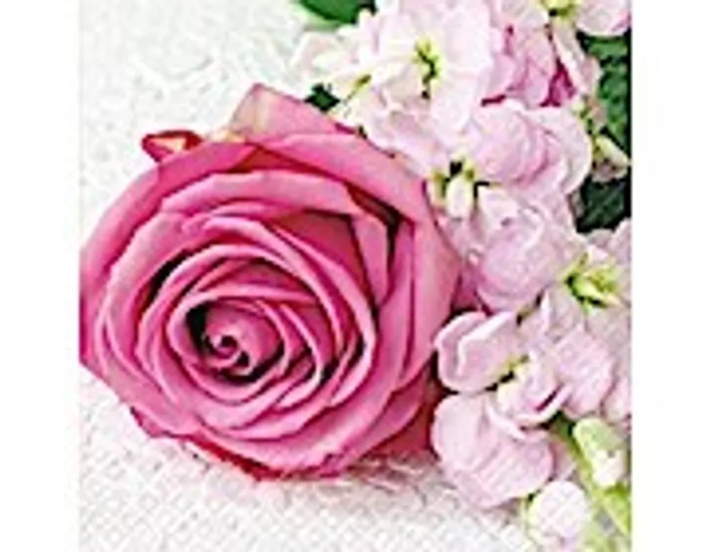 Serviettes rose 33x33 cm Vanessa Stewo : déco de table réussie sans effort