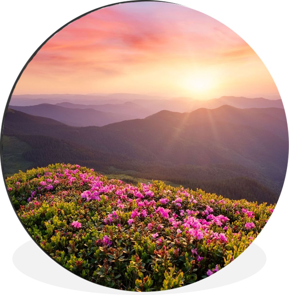MuchoWow Aluminium Wandkreis Blumen - Berg - Sonnenuntergang - Landschaft Ø 60 cm Wanddeko Modern Wohnzimmer - Wand Kreis - Wandbild - Schlafzim...