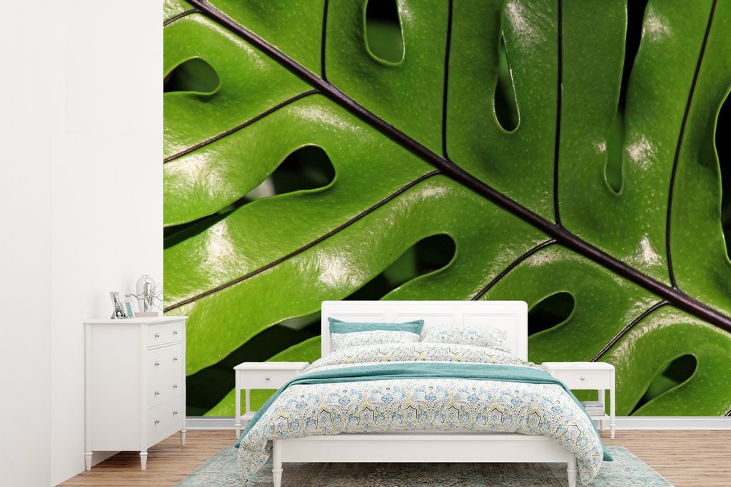 MuchoWow Fototapete für Wohnzimmer oder Schlafzimmer Wandtapete Vinyl Motivtapete Tropische botanische Blätter leuchten in der Sonne - 415x300 ...
