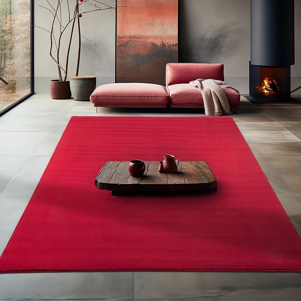 Carpetsale24 Tappeto Lavabile a Pelo Corto Antiscivolo Immagine del prodotto 