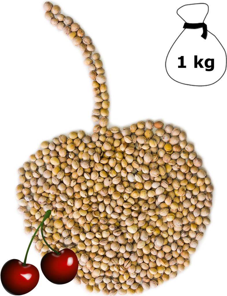 Kirschkerne lose für Wärmekissen Kirschkernkissen 1 kg Kissen Waermekissen Baby Füllung Körnerkissen Kerne Koernerkissen Füllmaterial Kirschke...