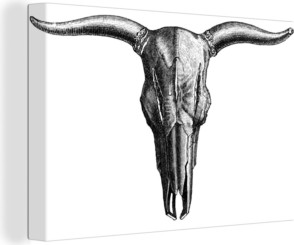 OneMillionCanvasses - Leinwandbilder - 140x90 cm, Taurus - Totenkopf - Weiß, Wandbilder Kunstdruck Wanddekoration - Foto auf Leinwand - Gemälde...