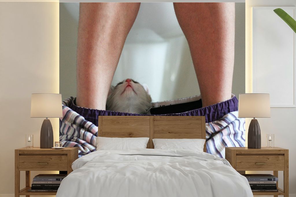 MuchoWow Fototapete für Wohnzimmer oder Schlafzimmer Wandtapete Vinyl Motivtapete Katze - Hose - Toilette - 240x240 cm - Schlafzimmer-Tapete