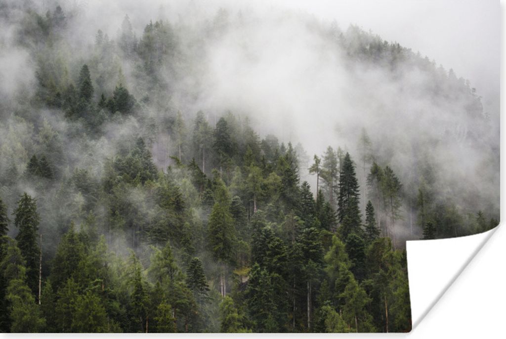MuchoWow Poster Wald - Nebel - Berg 30x20 cm - Plakate - Print