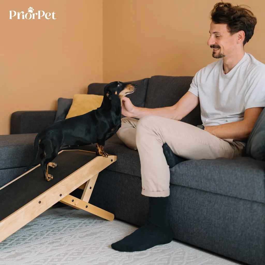 Rampe chien bois bouleau 18-53 cm avec insert antidérapant et plateforme - 8