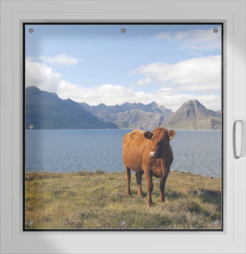 Wallario Lichtschutzbild, Dekorativer Sichtschutz Sonnenschutz 96 x 93 cm mit Motiv: Kuh in den Bergen - Verdunklung ohne Bohren