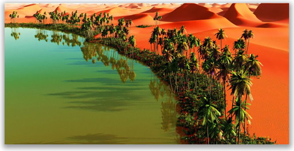 Küchenrückwand aus Glas 120x60cm Spritzschutz Bucht Bäume Wüste Landschaft