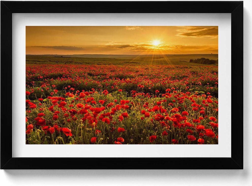 Wiesenlandschaft mit Mohnblumen– Wandbild mit Rahmen – Gerahmtes Bild – Wanddekoration – 30x20 cm – Schwarz Rahmen