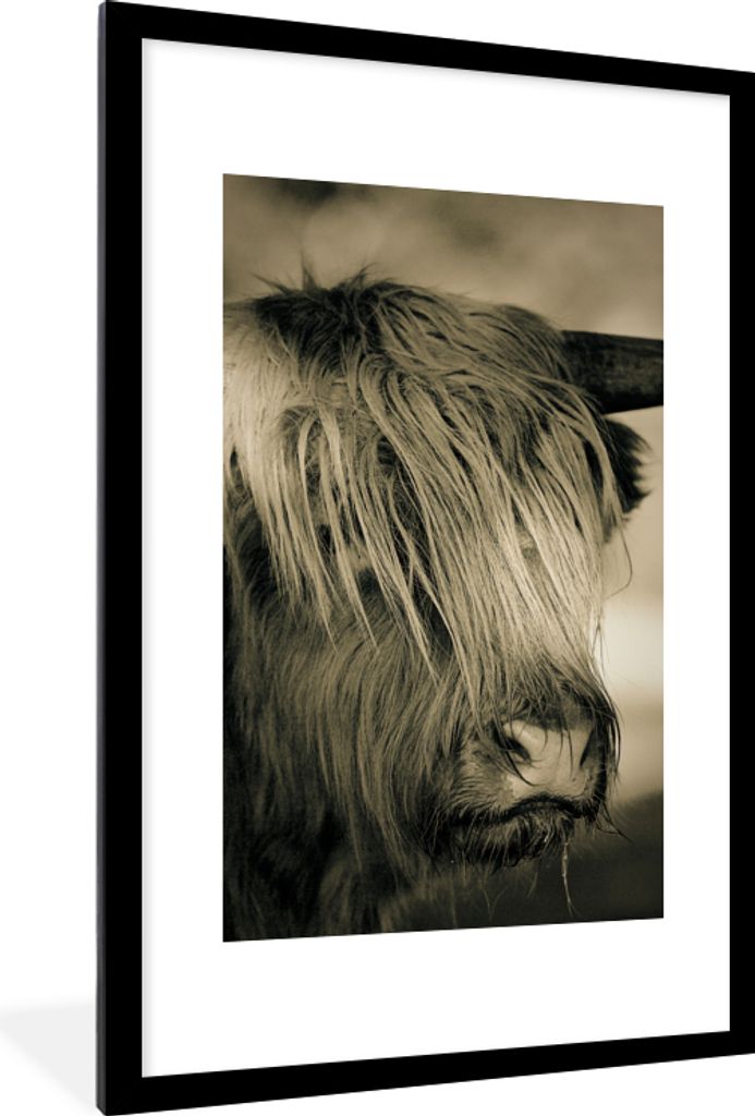 MuchoWow Gerahmtes Poster Schottischer Highlander - Tiere - Haare 60x90 cm - Poster mit Schwarzem Bilderrahmen Wandposter Rahmen Foto Bilder - De...