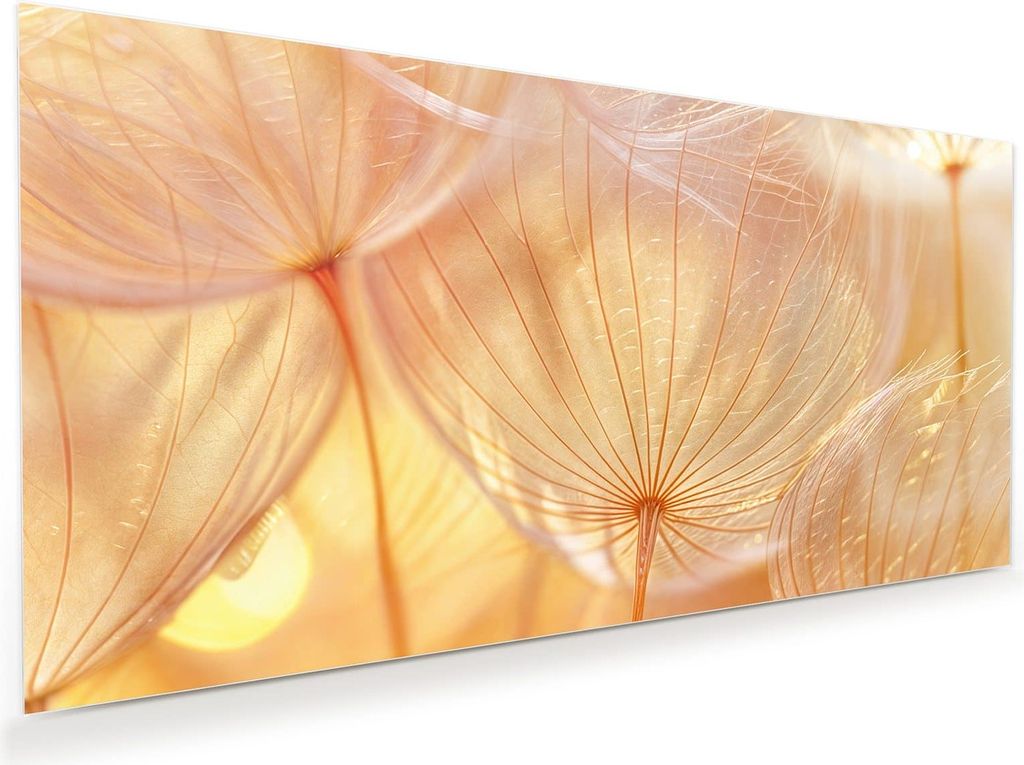 Glasbild 80x40cm in XXL für Wohnzimmer, Schlafzimmer Motiv Dandelion Makroaufnahme