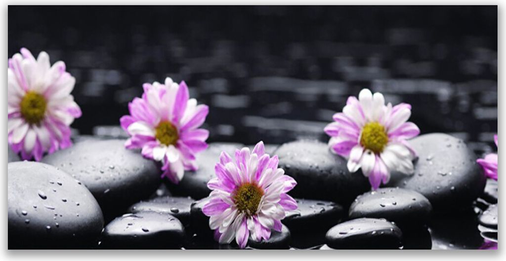 Küchenrückwand aus Glas 140x70cm Spritzschutz Blumen Steine Pflanzen