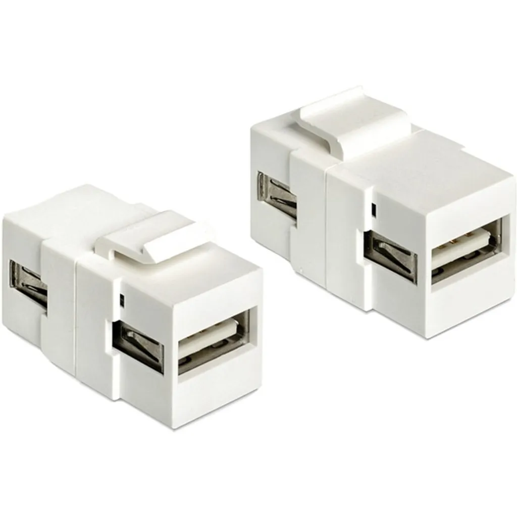 Delock Keystone USB A Femelle - Module à Encastrer Haute Performance