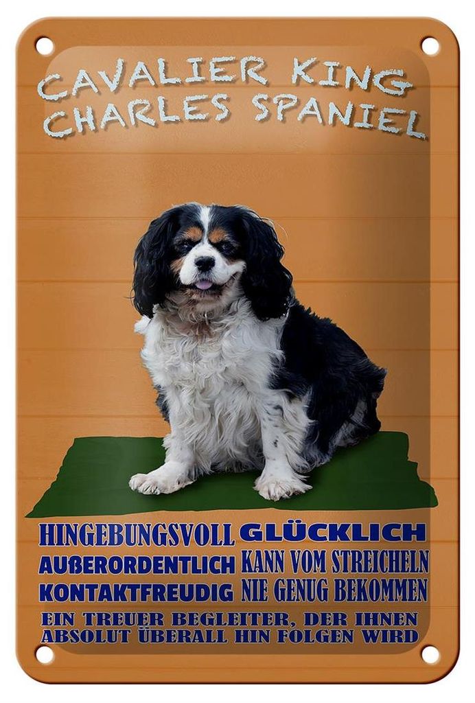 Blechschild Spruch 12x18cm Cavalier King Charles Spaniel Produktbild 