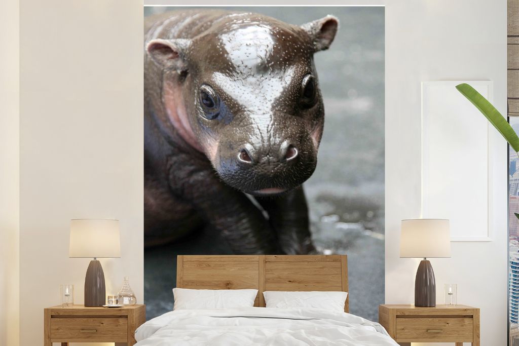 MuchoWow Fototapete für Wohnzimmer oder Schlafzimmer Wandtapete Vinyl Motivtapete Nilpferd - Kalb - Wasser - 225x350 cm - Schlafzimmer tapete