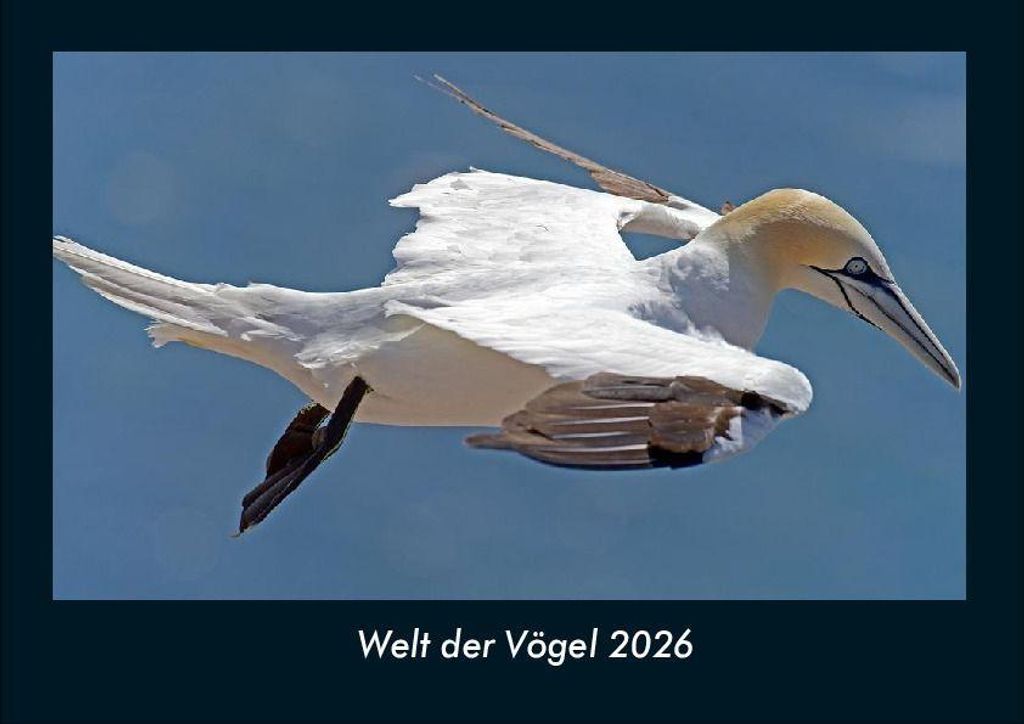 Welt der Vögel 2026 Fotokalender - Querformat DIN A4, Monatskalender mit Bild-Motiven von Haustieren, Bauernhof, wilden Tieren und Raubtieren