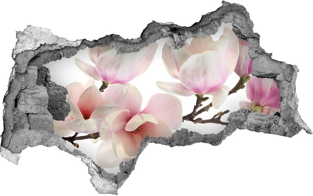 Selbstklebender Loch-3D-Aufkleber 95x73 cm Magnolie
