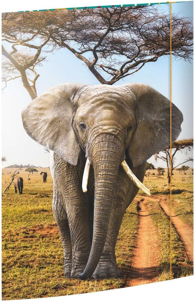 Gummizugmappe - A3 Elefant. Packung mit 3 Stück
