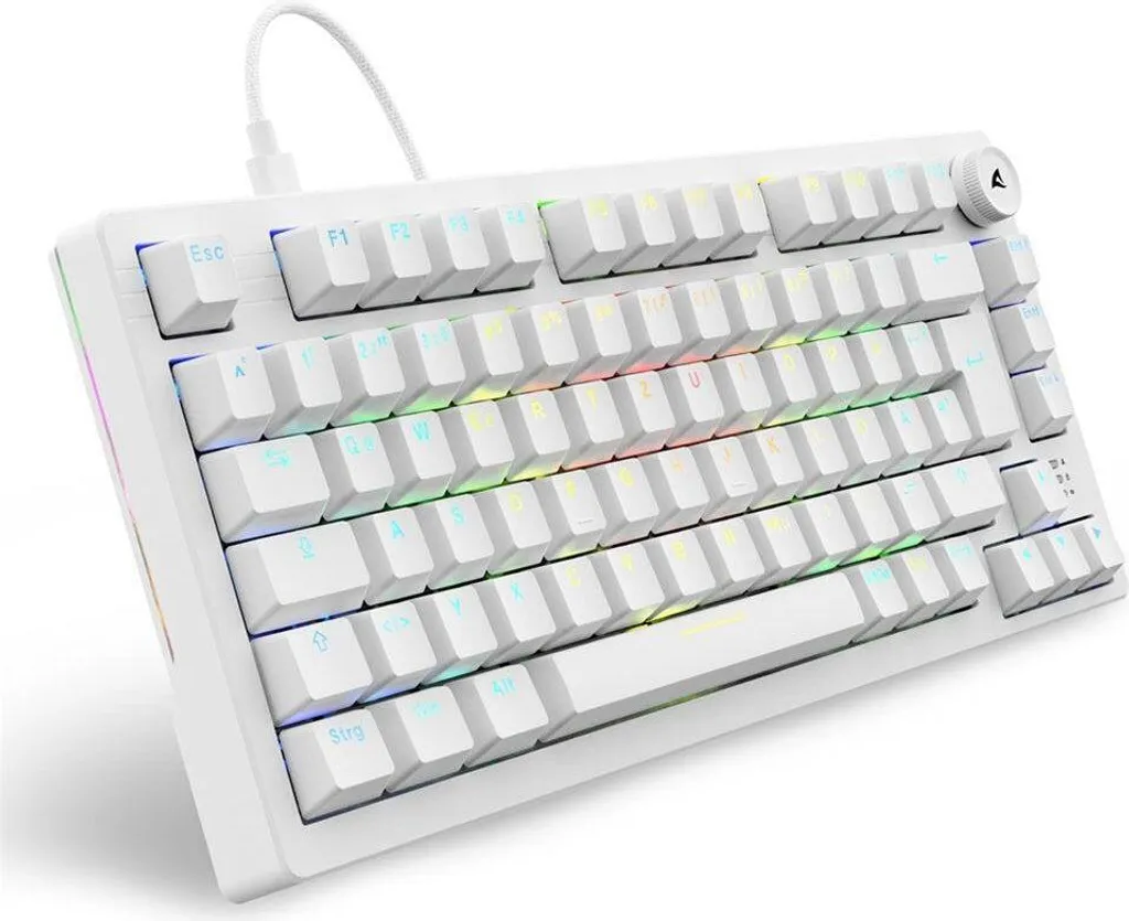 Sharkoon Skiller SGK25 Blanc Clavier Gamer Anti-Ghosting pour Jeu Précis