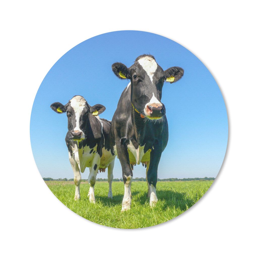 MuchoWow Mauspad Mousepad Kühe - Weide - Tiere - Bauernhof 30x30 cm - Mousepads - Maus Mat - Pad - Mausunterlage - Tischunterlage - Schreibtisch...