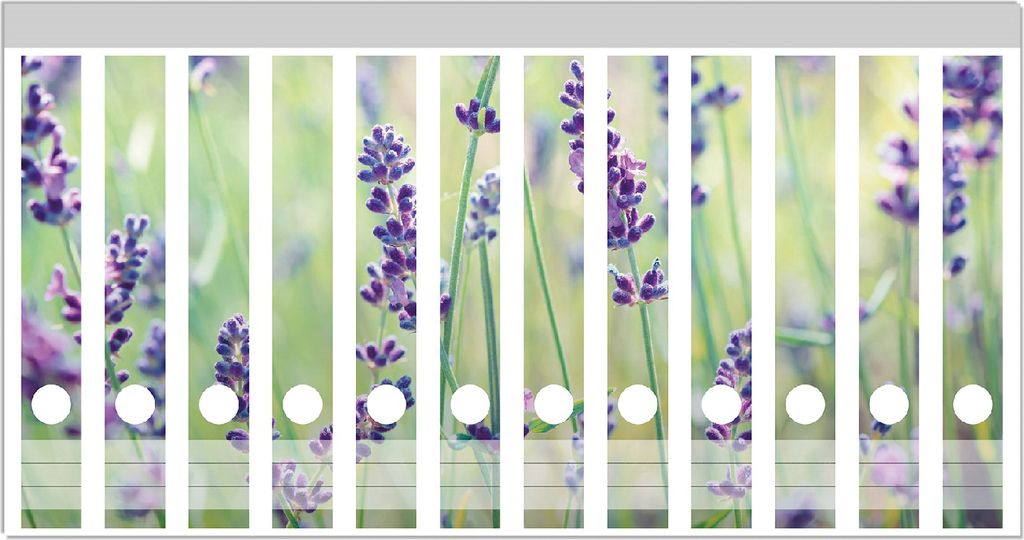 Wallario Ordnerrücken Sticker, selbstklebend für schmale Ordner, 12 Stück, Motiv Lila Blumenfreude - Violette Pflanzen auf der Wiese