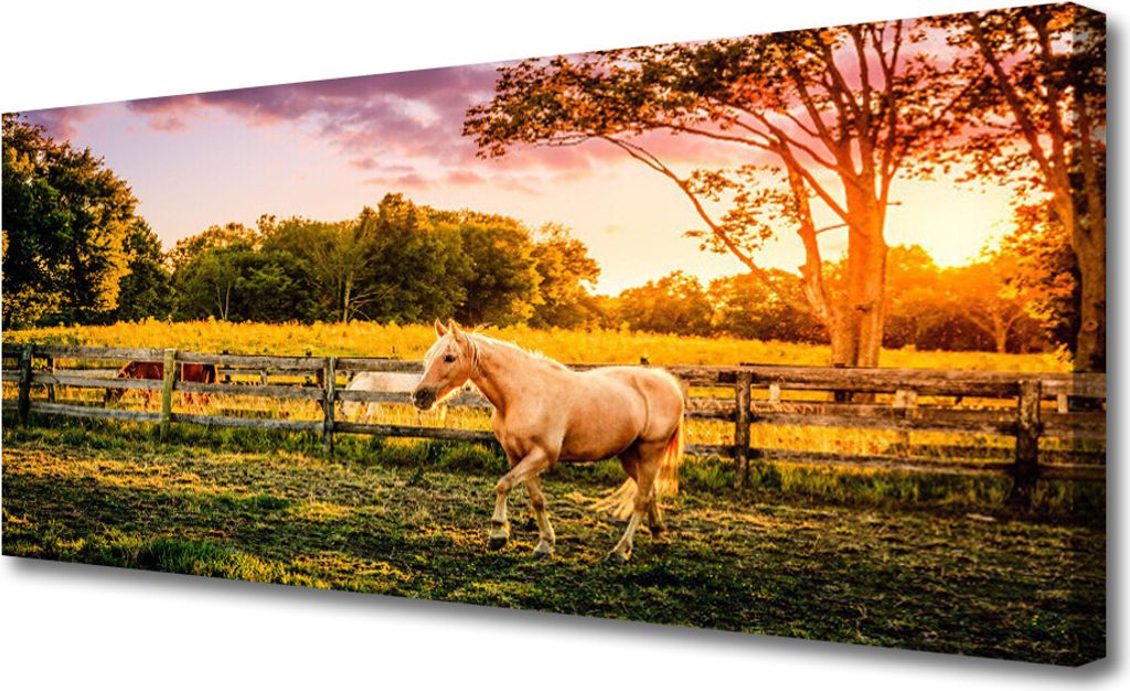Tulup Leinwand-Bilder 125x50 Wandbild Canvas Kunstdruck Pferd Wiese Tiere