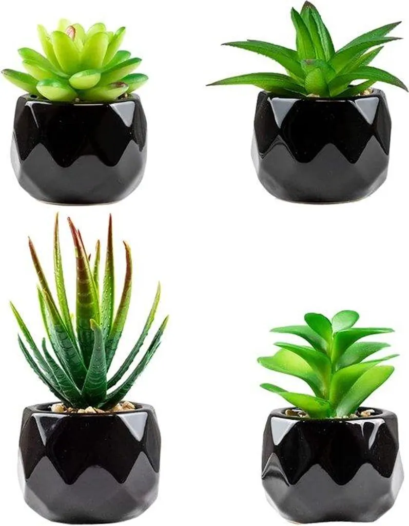 Décoration végétale bureau : mini pot en céramique noire pour plante