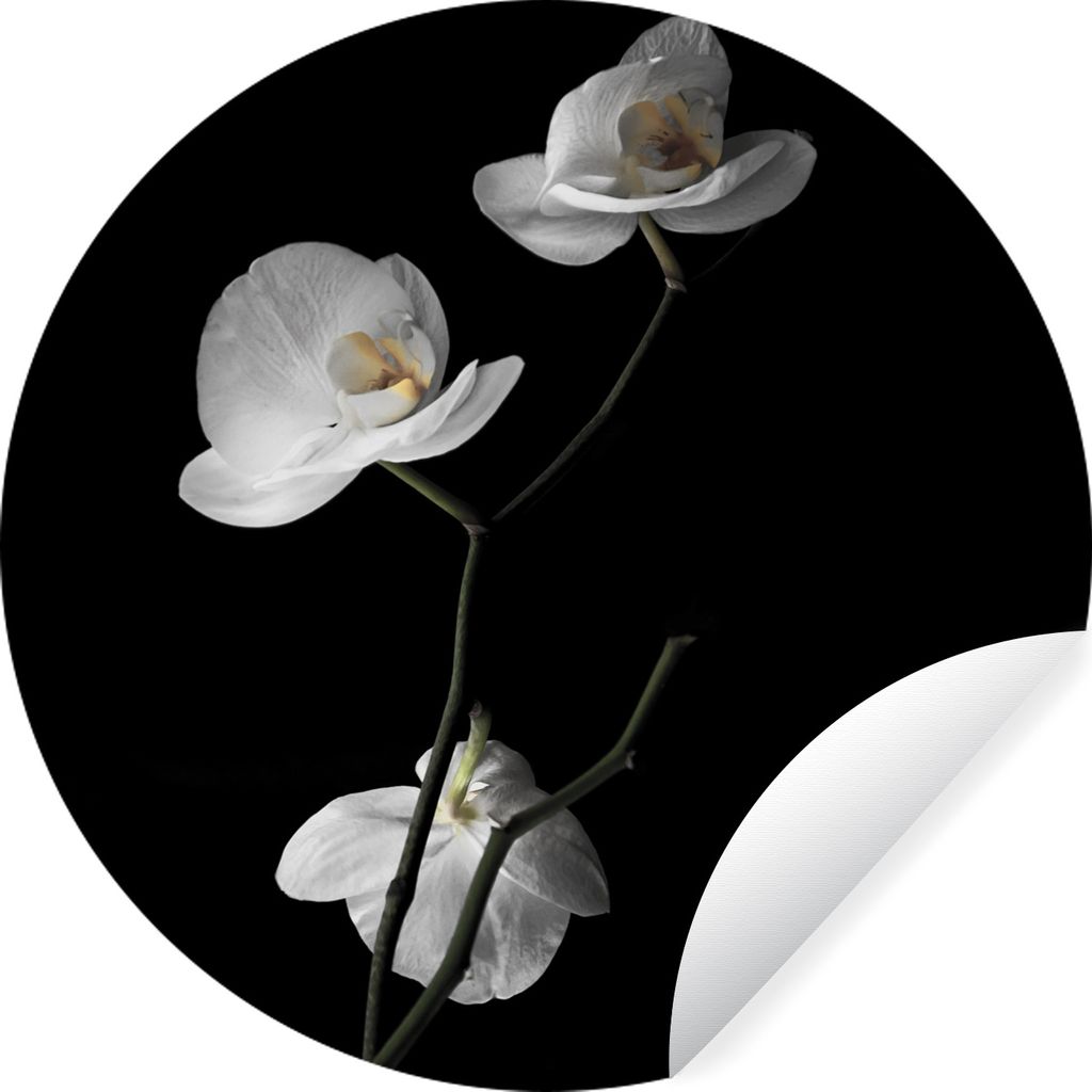 MuchoWow Runde Wandtattoo - Wandsticker Tapete Aufkleber Orchidee - Blumen - Schwarz - Weiß - Stilleben Ø 30 cm Selbstklebend und Repositionier...
