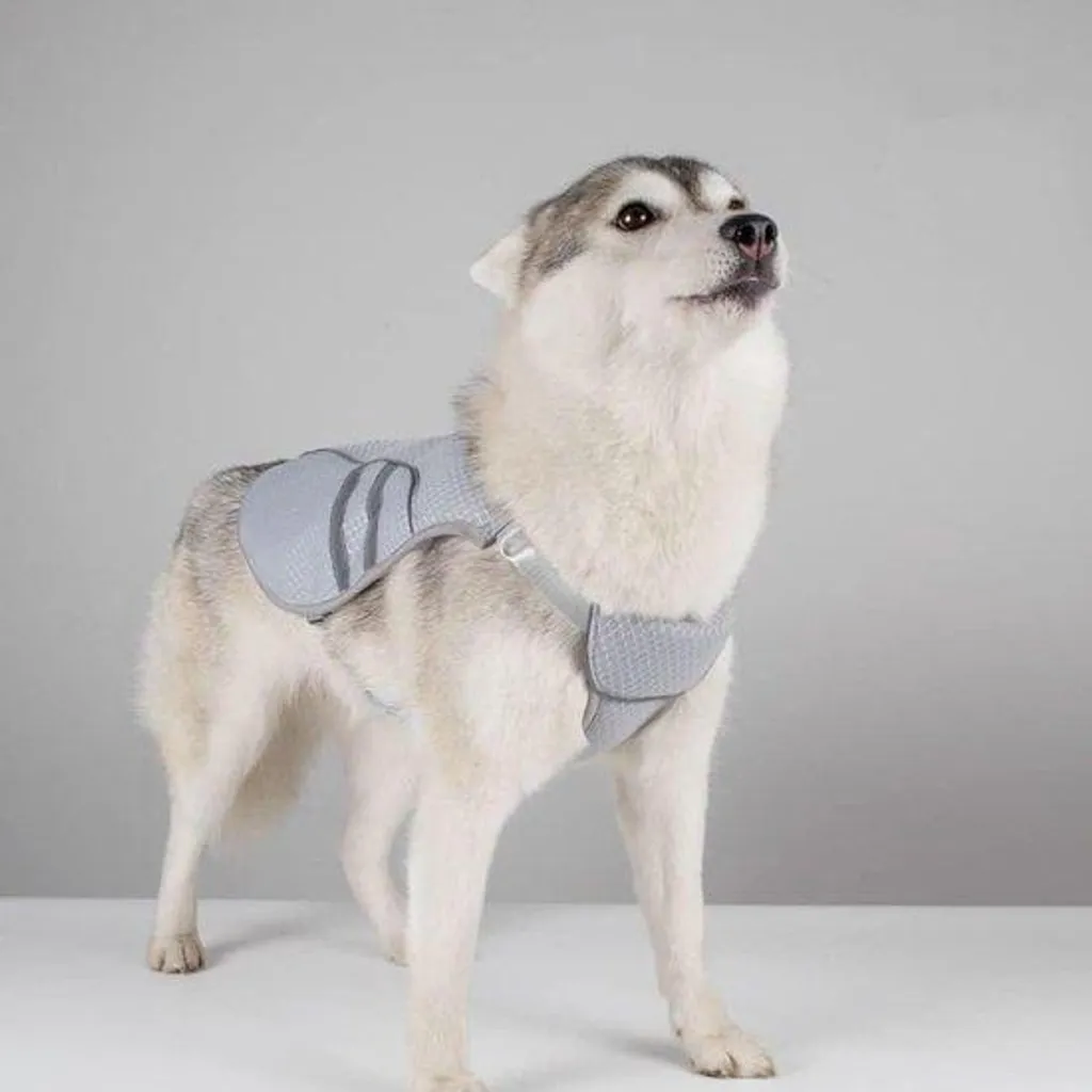 Gilet rafraîchissant pour caniche en tissu mesh - Modèle été respirant
