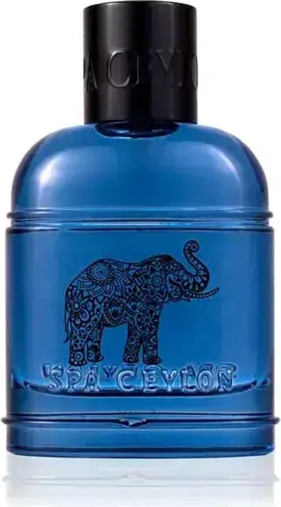 FOREST TRIBE Herren Eau de Parfum Produktbild 