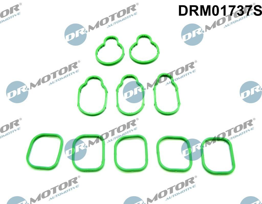 DR.MOTOR AUTOMOTIVE DRM01737S Dichtungssatz Ansaugkrümmer für VW Golf IV Schrägheck (1J1) Golf IV Variant (1J5) PASSAT Variant (3B5) Bora Limousine