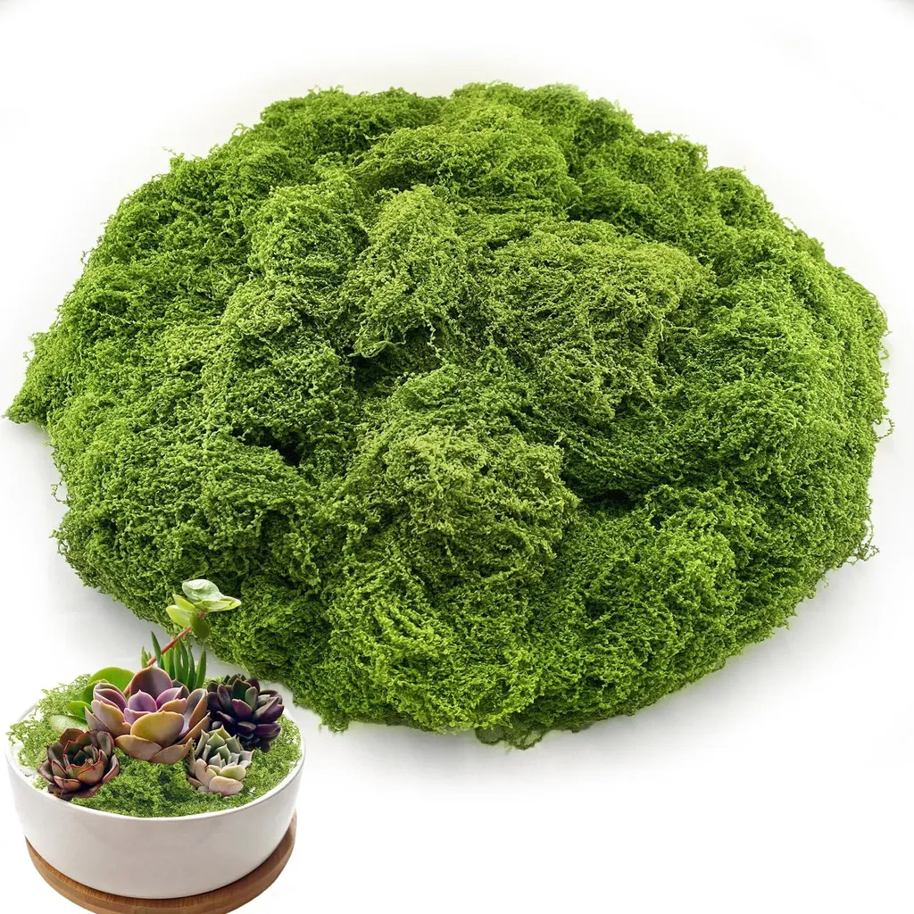 Mousse pour Bonsaï et Terrarium Vert Clair 200g Décoration Maison