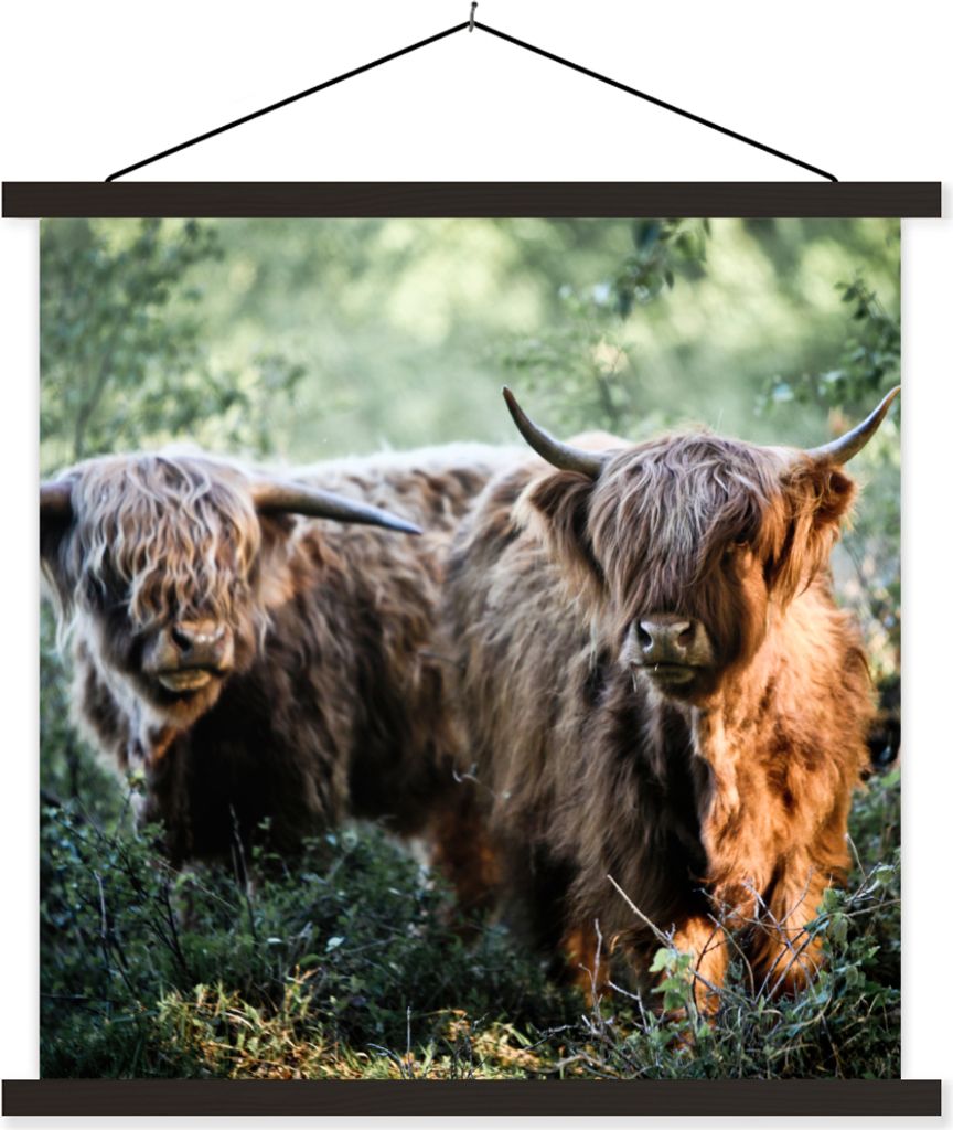 MuchoWow Textilposter Schottische Hochlandrind - Wald - Tiere 60x60 cm mit schwarzem Rahmen - Posteraufhänger