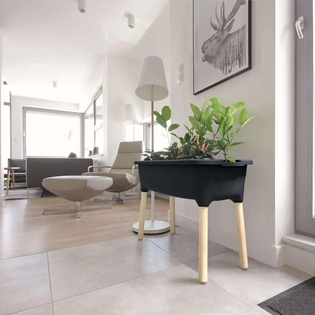 Pot de fleurs avec couvercle : Mini serre anthracite pour vos semis bio - 5