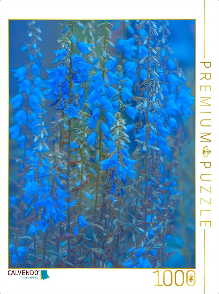 CALVENDO Puzzle Glockenblumen | 1000 Teile Lege-Größe 64x48cm Foto-Puzzle für glückliche Stunden