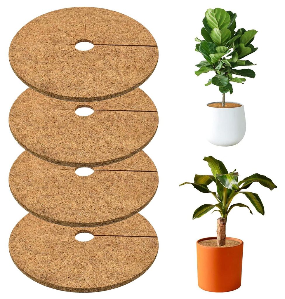 Set mit 4 runden, weichen Kokosmatten, 20 cm, atmungsaktive Frostschutzmatte, strapazierfähige Kälteschutzmatte für Pflanzen, ideal zum Überwin...