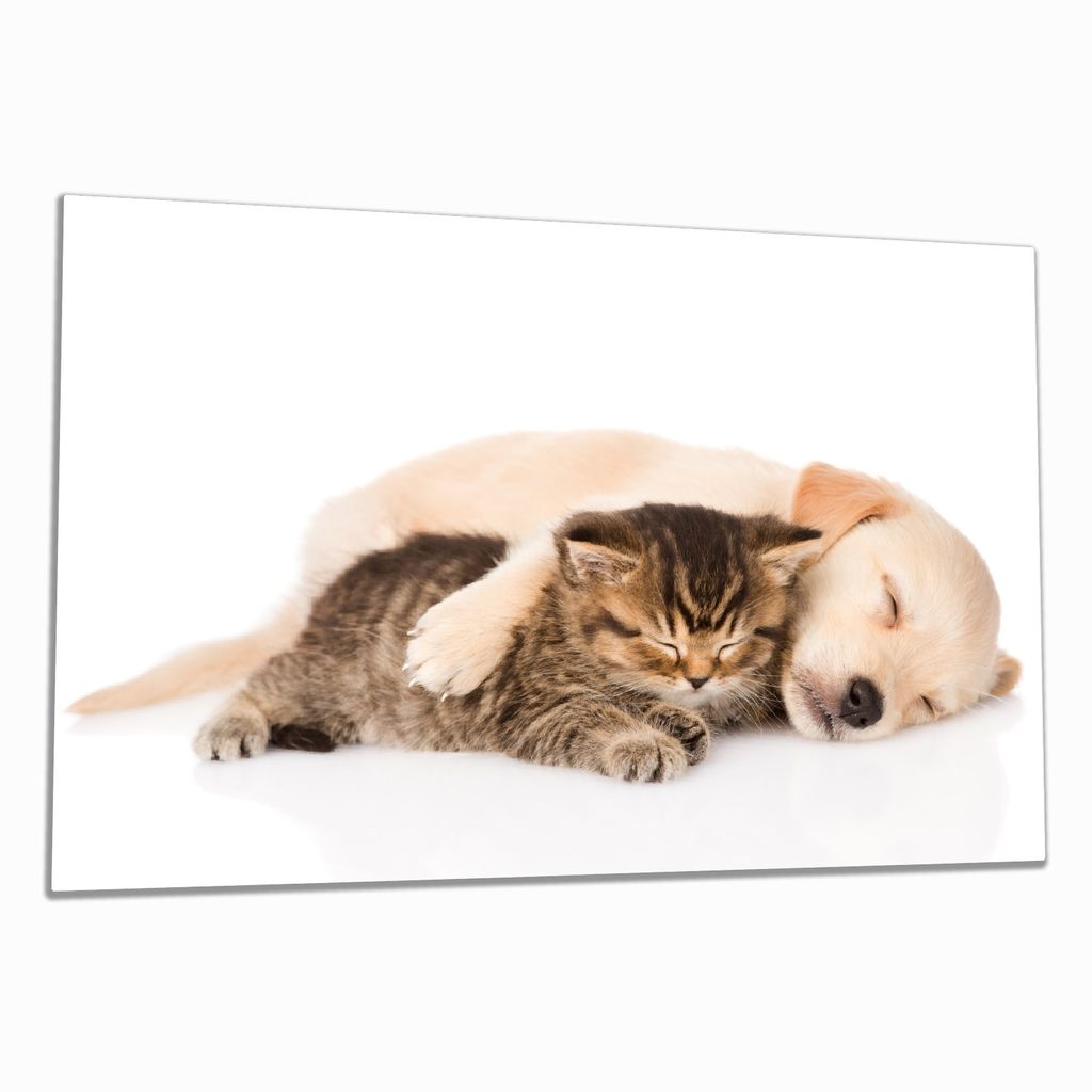 Wallario Herdabdeckplatte aus Glas, Größe 80 x 52 cm 1-teilig, Motiv Katze und Hund in Harmonie - Kuschelnde Tiere