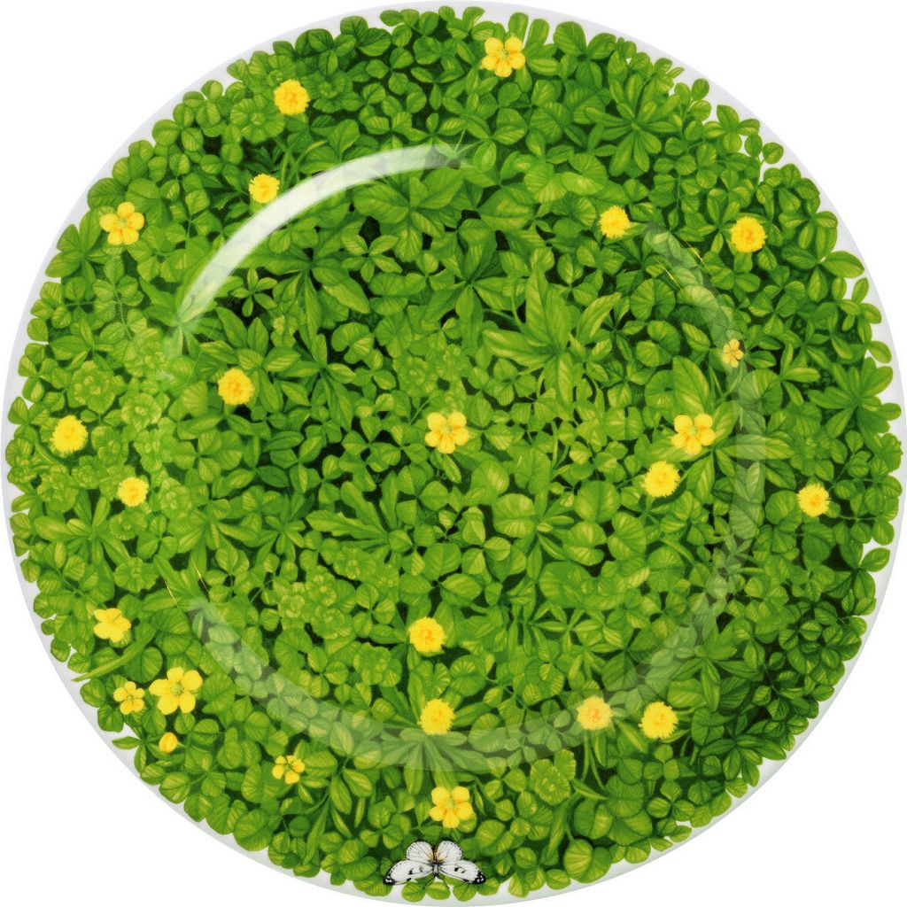 Taitù Prati Italiani - Teller flach 31 cm, Blume gelb Produktbild 