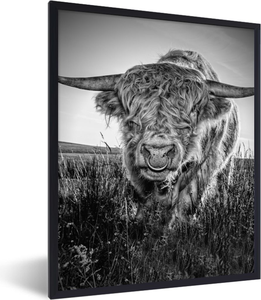 MuchoWow Gerahmtes Poster Schottischer Highlander - Schwarz und Weiß 60x80 cm - Poster mit Schwarzem Bilderrahmen Wandposter Rahmen Foto Bilder ...