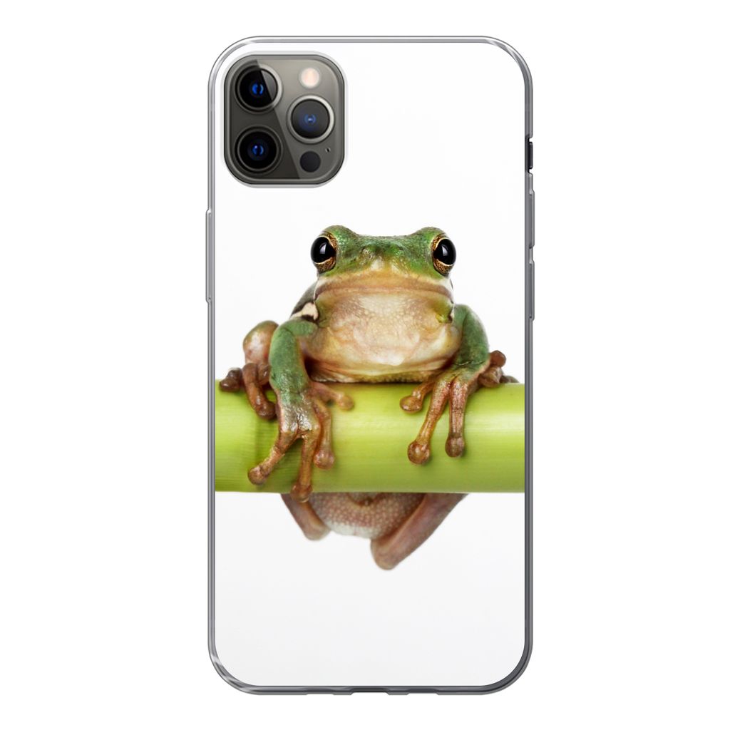 MuchoWow Handyhülle Schutzhülle Hülle für iPhone 13 Pro Max Frosch - Bambus - Weiß Silikon Softcase Handy Hülle - Mobiltelefon