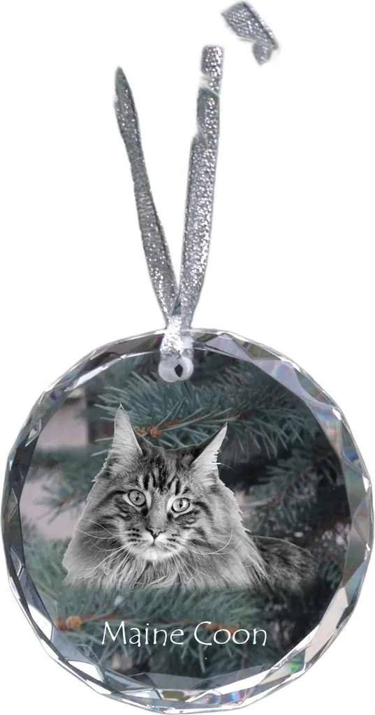 Cristallo con Ritratto Maine Coon Art-Dog | Emozioni Incise per Sempre