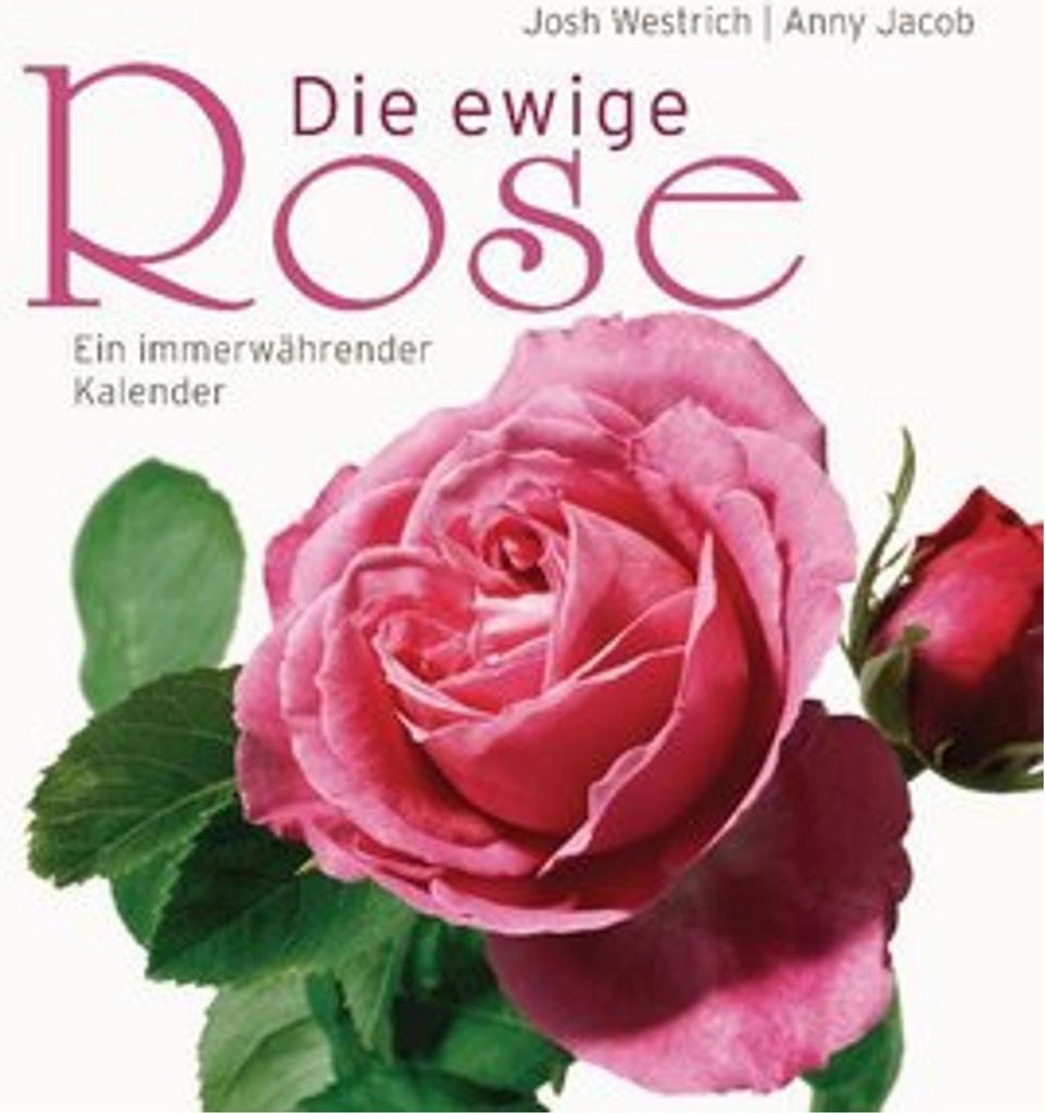 Die ewige Rose