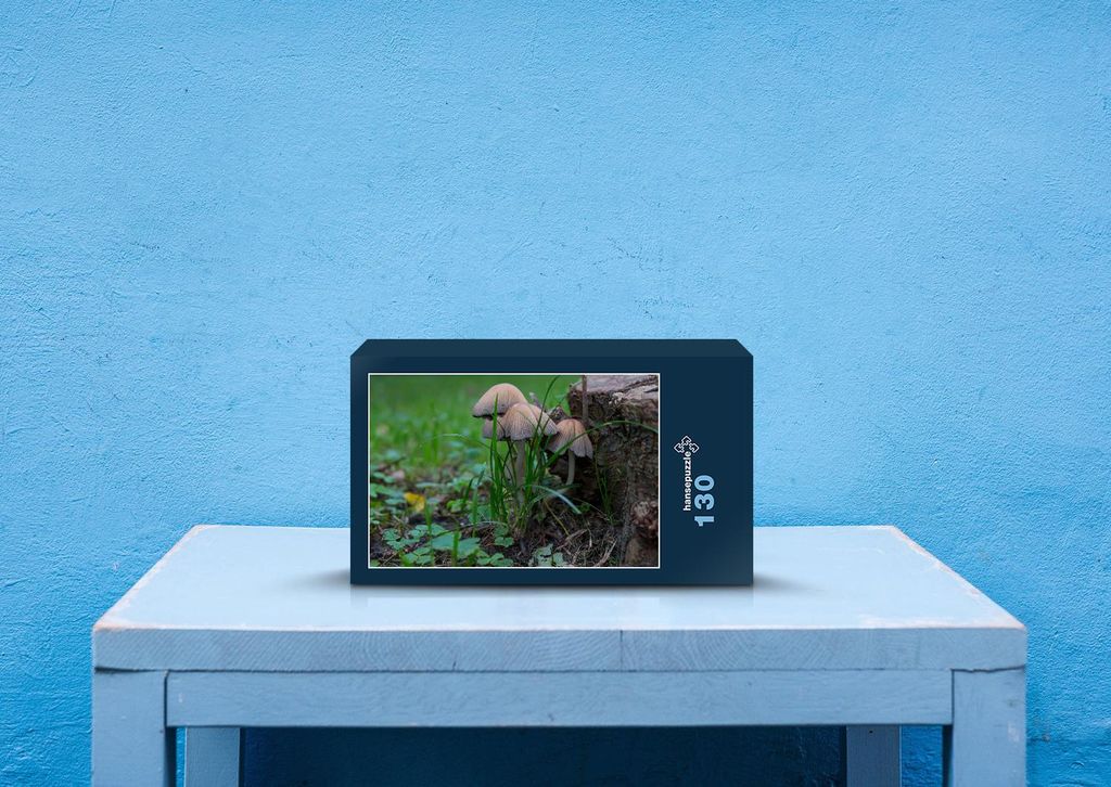 hansepuzzle 39267 - Pilze Puzzle, 130 Teile, Natur, 28,7 x 20,0cm mit hochwertiger Aufbewahrung, Kartonbox und wiederverschließbarem Beutel