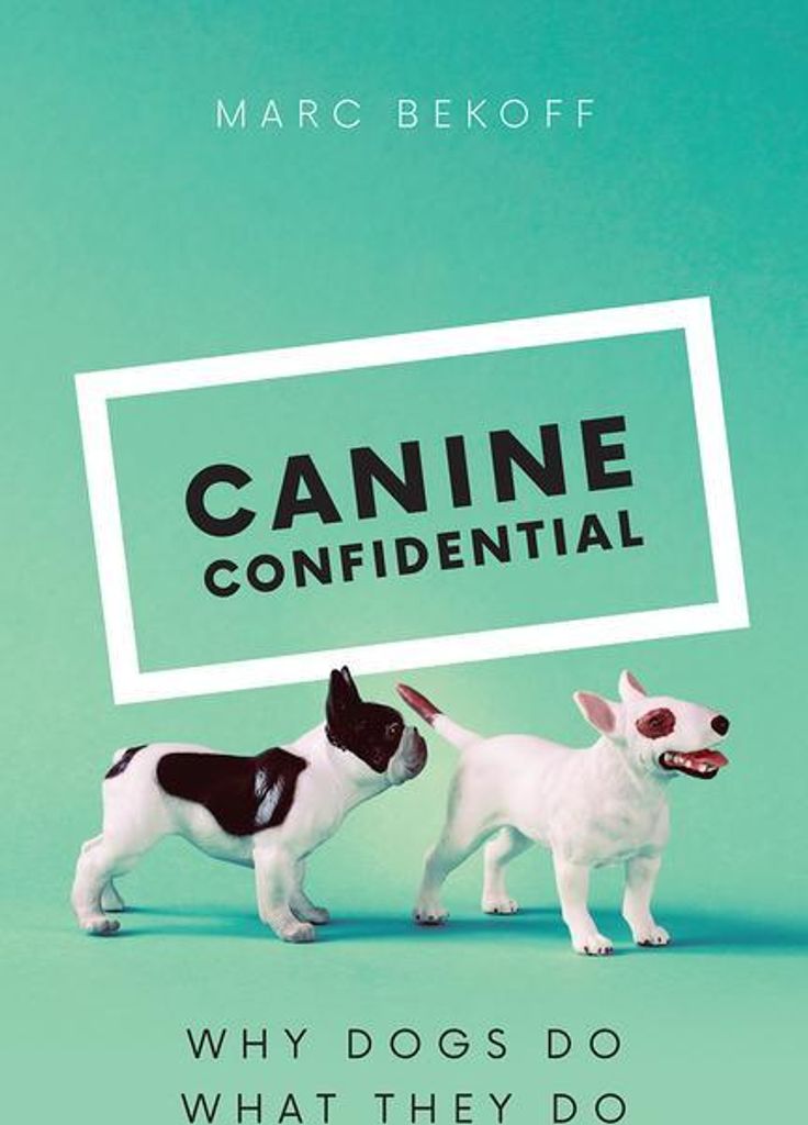 Canine Confidential