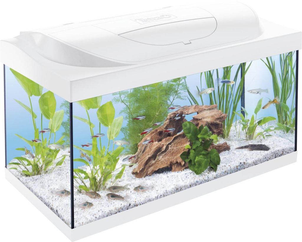 Tetra Aquarium Starter Line LED 54 L weiß Produktbild 